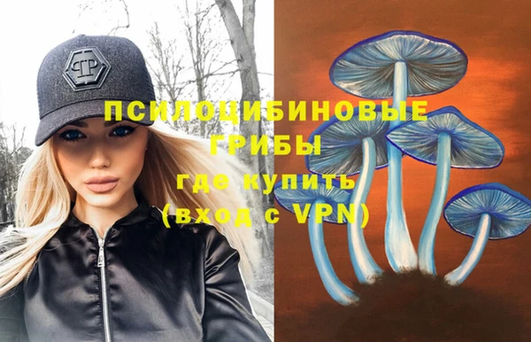 тгк Алзамай