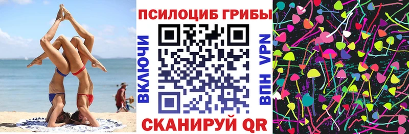 Псилоцибиновые грибы Psilocybe Конаково