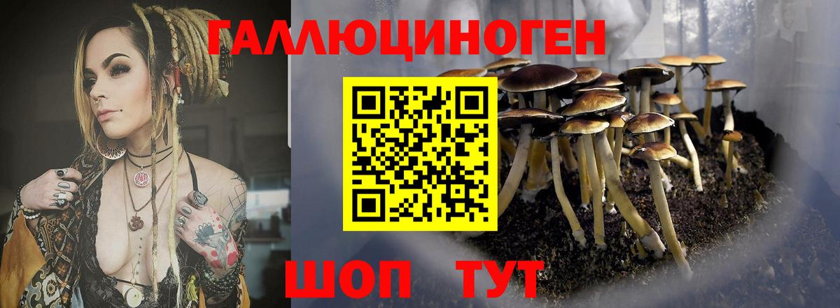 Конаково  Галлюциногенные грибы мухоморы  Галлюциногенные грибы прущие грибы  Вход с VPN 